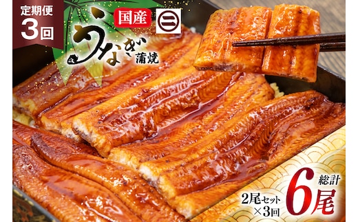 うなぎ 国産 蒲焼 定期便 145g前後 2尾 3回 総計6尾 真空パック タレ 山椒 付き 冷凍 [マルニうなぎ加工 静岡県 吉田町 22424474] 鰻 ウナギ 蒲焼き うなぎ蒲焼 うなぎ蒲焼き 鰻蒲焼き ウナギ蒲焼き 国産うなぎ蒲焼き unagi