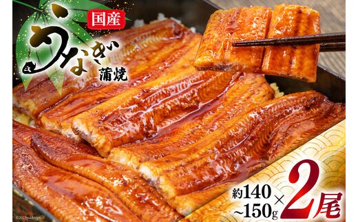 うなぎ 国産 蒲焼 肉厚 145g前後×2 真空パック タレ山椒付き [マルニうなぎ加工 静岡県 吉田町 22424421] 鰻 ウナギ 蒲焼き 化粧箱 冷凍