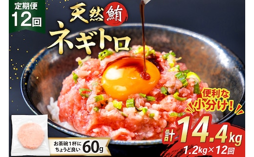 12回 定期便 天然 マグロ ネギトロ まぐろたたき 冷凍 60g 20個 計1.2kg [トライ産業株式会社 静岡県 吉田町 22424397] 小分け 個包装 まぐろのたたき 鮪 まぐろ ネギトロ丼 ねぎとろ マグロたたき