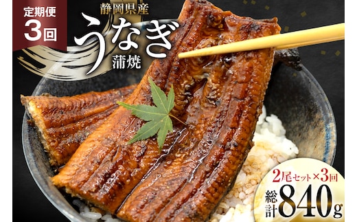 うなぎ 国産 静岡 定期便 蒲焼 長焼 約140g 2尾 3回 総計6尾 [静岡鰻販売 静岡県 吉田町 22424581] 静岡県産 鰻 ウナギ ungai 蒲焼き うなぎ蒲焼き 鰻蒲焼 タレ たれ 山椒 真空パック 冷凍