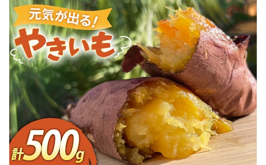 【期間限定発送】 焼き芋 「元気が出るやきいも（フローズン）」紅はるか 500g 冷凍 [うみとやきいもラッキーズ 静岡県 吉田町 22424682] やきいも 焼きいも 焼芋 ヤキイモ 焼イモ おいも 芋 いも べにはるか さつま芋 さつまいも サツマイモ おやつ スイーツ