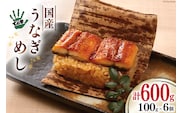 【ての字】 うなぎ 国産 鰻めし 100g ×6 [静岡伊勢丹 静岡県 吉田町 22424182] ウナギ 鰻 蒲焼 蒲焼き おこわ おにぎり 冷凍 ての字