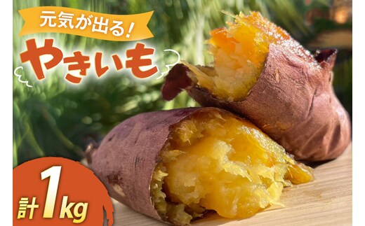 【期間限定発送】 焼き芋 「元気が出るやきいも（フローズン）」紅はるか 1kg 冷凍 [うみとやきいもラッキーズ 静岡県 吉田町 22424683] やきいも 焼きいも 焼芋 ヤキイモ 焼イモ おいも 芋 いも べにはるか さつま芋 さつまいも サツマイモ おやつ スイーツ