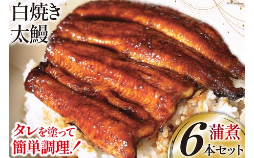 うなぎ 国産 ご当地鰻レシピ「蒲煮」簡単調理セット 血抜き締め 白焼き 太鰻 80g前後 ×6本 タレ 山椒 刷毛 付き [ヤママツ村田商店 静岡県 吉田町 22424185] 鰻 ウナギ たれ 炭火焼き 炭火 かばに 惣菜 おかず 冷凍