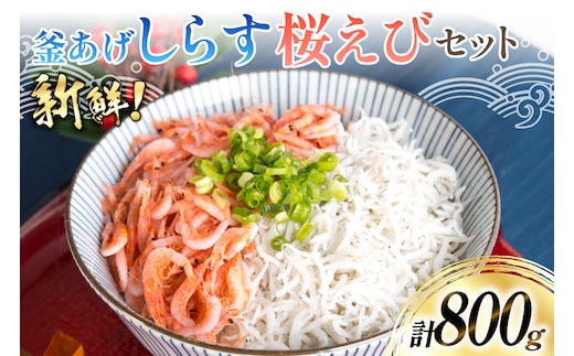 【明治神宮奉献品！】 釜揚げしらす 500g 釜揚げ桜えび 300g [丸三水産 静岡県 吉田町 22424486] シラス しらす 釜揚げシラス 桜エビ サクラエビ 桜海老 駿河湾