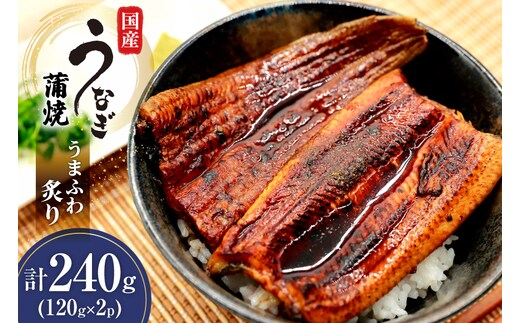 うなぎ 国産 蒲焼 うまふわ炙り(R) 120g 2パック 計240g 冷凍 真空パック [ヤマカ松本商店 静岡県 吉田町 22424487] ウナギ 鰻 蒲焼き かば焼き うなぎ蒲焼 鰻蒲焼 unagi