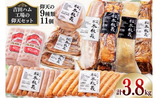 【吉田ハム工場の仰天セット】3.8kg 仰天の9種類 [吉田ハム工場（三代目！肉工房松本秋義） 静岡県 吉田町 1116196] 煮豚 ベーコン ハム スペアリブ ウインナーソーセージ 肉 加工品 おかず 惣菜 セット