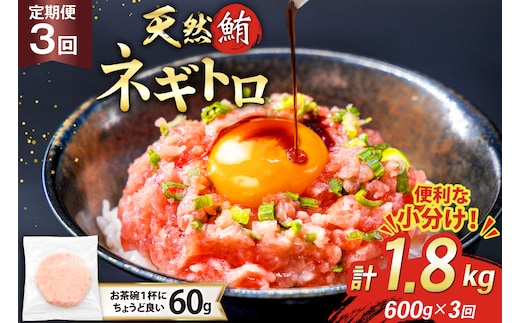 3回 定期便 天然 マグロ ネギトロ まぐろたたき 冷凍 60g 10個 計600g [トライ産業 静岡県 吉田町 22424389] 小分け 個包装 まぐろのたたき 鮪 まぐろ ネギトロ丼 ねぎとろ マグロたたき