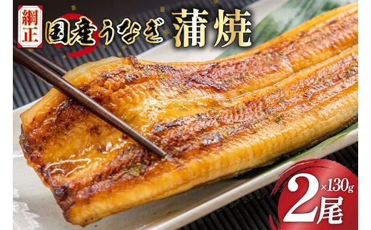 国産うなぎ蒲焼詰合せ2尾 [フーズ・ユー綱正 静岡県 吉田町 22424059]