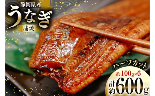 うなぎ 国産 静岡 うなぎ蒲焼 ハーフカット 100g ×6 計600g [静岡鰻販売 静岡県 吉田町 22424172] 鰻 ウナギ うなぎ蒲焼き うなぎ蒲焼 真空パック 冷凍 蒲焼 肉厚 ふっくら 静岡県産