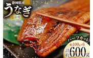 うなぎ 国産 静岡 うなぎ蒲焼 ハーフカット 100g ×6 計600g [静岡鰻販売 静岡県 吉田町 22424172] 鰻 ウナギ うなぎ蒲焼き うなぎ蒲焼 真空パック 冷凍 蒲焼 肉厚 ふっくら 静岡県産