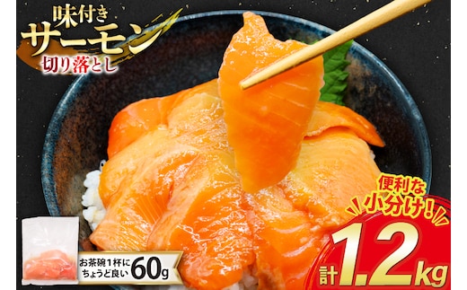 サーモン 切り落とし 味付き 60g 20パック 計1.2kg 冷凍 小分け [トライ産業 静岡県 吉田町 22424419-a] トラウトサーモン さーもん 刺身 刺身用 海鮮丼