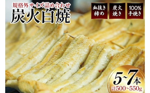 うなぎ 国産 訳あり 白焼 血抜き締め 500～550g セット 5～7本程度 [ヤママツ村田商店 静岡県 吉田町 22424596-b] 鰻 ウナギ unagi 白焼き うなぎ白焼 鰻白焼 炭火焼 冷凍 規格外