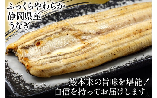 うなぎ 国産 静岡 うなぎ白焼 4尾 セット 140g×4 計約560g [静岡鰻販売 静岡県 吉田町 22424177] 鰻 ウナギ 白焼 白焼き  真空パック 蒲焼 惣菜 おかず 静岡県産 冷凍 | dショッピングふるさと納税百選