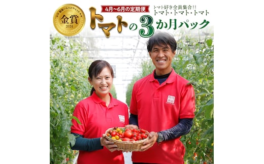【4月～6月の定期便】トマト好き全員集合 トマト・トマト・トマト3か月お届けパック 野菜ソムリエサミット 金賞 受賞 長田農園 産地直送 トマト とまと 野菜 やさい フルーツ サラダ 濃厚 甘い ご褒美 プレゼント 美容 健康 リピート多数 人気 高評価 数量限定 碧南市 H004-173