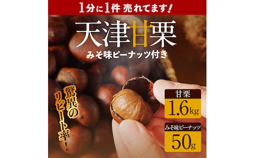 この道50年の職人が焼く、やさしい甘みたっっっぷり！「天津甘栗」 1.6kg みそ味ピーナッツ付き 焼きたて 栗 くり 栗爪 殻付き お菓子 おつまみ 人気 高リピート 小分け 栗ご飯 栗きんとん 甘露煮 H045-052