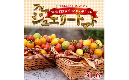 【先行受付】2026年11月から発送 まるでトマトの宝石箱！フルーツジュエリートマト約1.6kg 長田農園 産地直送 トマト とまと 野菜 やさい フルーツ サラダ 濃厚 甘い ご褒美 プレゼント 美容 健康 リピート多数 人気 高評価 先行受付 数量限定 碧南市 H004-203_Nov