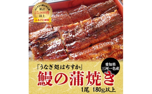 【12月24日受付分まで年内発送】三河一色産 鰻の蒲焼き 1尾 180g以上 うなぎ処はちすか 国産 日本料理 うなぎ 蒲焼 白焼き 真空 冷蔵 大きい うな丼 うな重 ひつまぶし H026-028