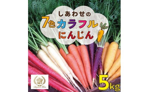 【期間限定】 冬の寒さでぎゅっと濃い！虹色のカラフルにんじん 鈴盛農園 農家直送 甘い スーパーフード 健康 自慢 ジュース サラダ ギフト 贈り物 βカロテン ポリフェノール リコピン ジューシー H022-012