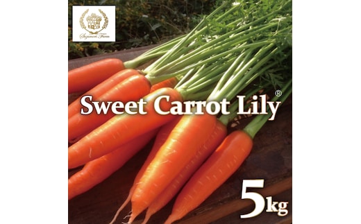 【期間限定】鈴盛農園の甘～いにんじん 『スウィートキャロットリリィ』 人参 甘い ジュース サラダ スムージー ジューシー H022-013