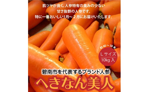 碧南市を代表するブランド人参「へきなん美人」 にんじん 10kg H017-100