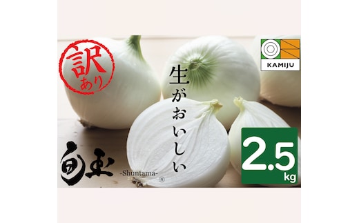 (2026年発送)【数量限定】訳あり 新玉ねぎ 生がおいしい 神重農産のブランド玉ねぎ「旬玉」2.5kg ブランド玉ねぎ 玉ねぎ 国産 愛知県産 野菜 やさい 農家直送 畑直送 旬 期間限定 たまねぎ 先行予約 旬 特産 高評価 高リピート 人気 H105-152