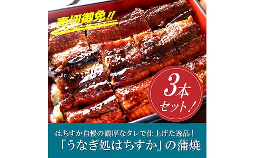 【12月24日受付分まで年内発送】三河一色産 鰻の蒲焼き 3尾 計540g以上 うなぎ処はちすか 国産 日本料理 うなぎ 蒲焼 白焼 真空 冷蔵 大きい 白だし かつおぶし 出汁 うな丼 うな重 ひつまぶし H026-031