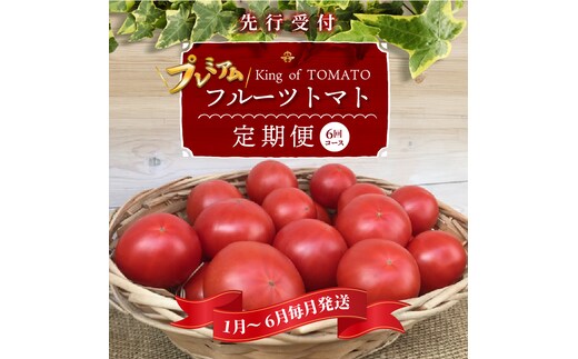1月～6月毎月発送 プレミアムフルーツトマトの定期便 6回コース H004-163