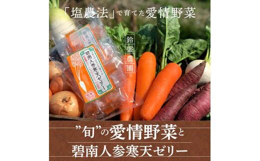 鈴盛農園”旬”の愛情野菜と碧南人参寒天ゼリー 農家直送 にんじん 甘い ゼリー 砂糖不使用 保存料不使用 着色料不使用 フルーツ スイーツ ジュース 自慢 農作物 自然 野菜 H022-011