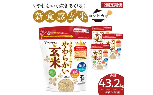 やわらかい玄米 900g×4袋 ※定期便12回 小分け 米 こめ コメ ごはん 栄養豊富 簡単 便利 美容 健康 新食感 もちもち 安心安全なヤマトライス H074-645