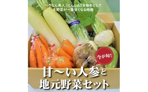 旬の野菜をお届け！甘～い人参と地元野菜セット へきなん美人 にんじん H025-010