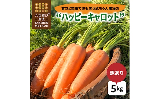 【食品ロス削減】（ 訳あり ）甘さと栄養で体も笑う武ちゃん農場の“ハッピーキャロット” 5kg H095-022