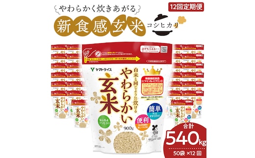 やわらかい玄米 900g×50袋 ※定期便12回 小分け 米 こめ コメ ごはん 栄養豊富 簡単 便利 美容 健康 新食感 もちもち 安心安全なヤマトライス H074-636