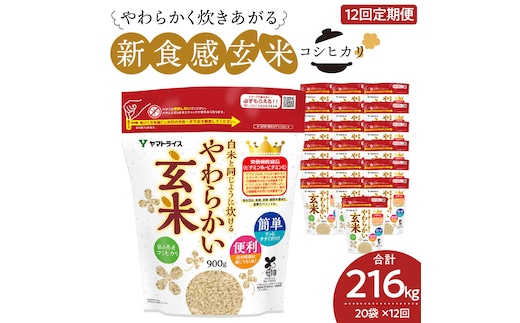 やわらかい玄米 900g×20袋 ※定期便12回 小分け 米 こめ コメ ごはん 栄養豊富 簡単 便利 美容 健康 新食感 もちもち 安心安全なヤマトライス H074-635