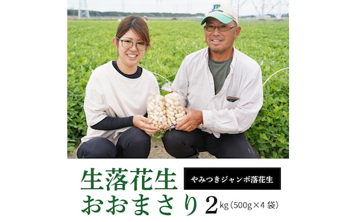 生落花生 おおまさり 2kg とれたて 耕地の美味しい野菜シリーズ第1弾 H132-028