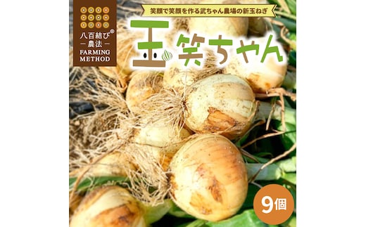 【2026年発送】笑顔で笑顔を作る武ちゃん農場の新玉ねぎ“玉笑ちゃん” 9個 H095-029