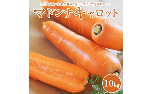 ＜フジテレビ『どっちのふるさと？』で紹介されました！＞ こどもも食べられる甘み！ジュースにしても美味しい！「マドンナキャロット」 10kg にんじん 野菜 H105-123