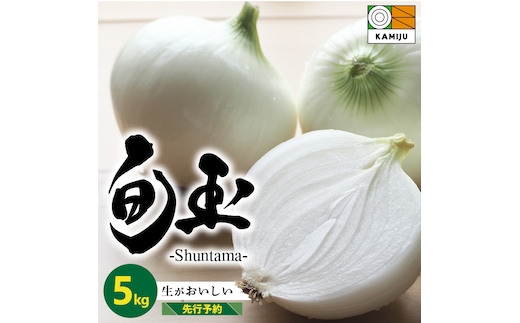 (2026年発送)新玉ねぎ 生がおいしい 神重農産のブランド玉ねぎ「旬玉」5kg ブランド玉ねぎ 玉ねぎ 国産 愛知県産 野菜 やさい 農家直送 畑直送 旬 期間限定 たまねぎ 先行予約 旬 特産 高評価 高リピート 人気 H105-148