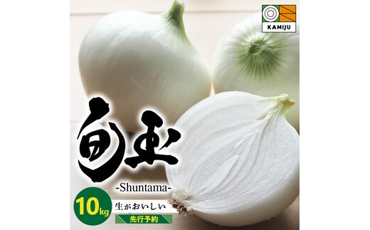 (2026年発送)新玉ねぎ 生がおいしい 神重農産のブランド玉ねぎ「旬玉」10kg ブランド玉ねぎ 玉ねぎ 国産 愛知県産 野菜 やさい 農家直送 畑直送 旬 期間限定 たまねぎ 先行予約 旬 特産 高評価 高リピート 人気 H105-149