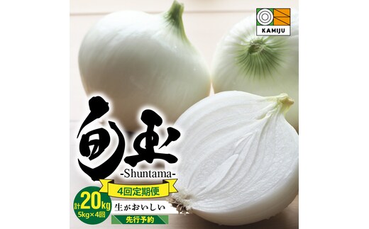 (2026年発送)【先行予約】新玉ねぎ 食べ比べ定期便 生がおいしい 神重農産のブランド玉ねぎ「旬玉」5kg×4回 H105-128
