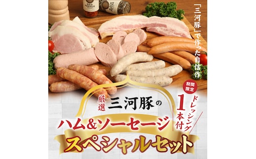 期間限定 ドレッシング1本付き 厳選三河豚のハム＆ソーセージスペシャルセット H094-032