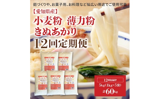 【小麦粉】愛知県産 きぬあかり 国産 薄力粉 1kg×5袋(計5kg) 定期便12回 H008-261