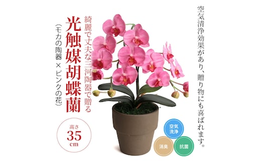 綺麗で丈夫な三河陶器で贈る光触媒胡蝶蘭小輪１本立（モカの陶器×ピンクの花）H100-082