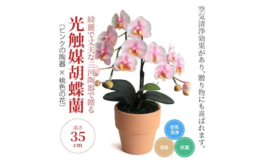 綺麗で丈夫な三河陶器で贈る光触媒胡蝶蘭小輪１本立（ピンクの陶器×桃色の花）H100-080