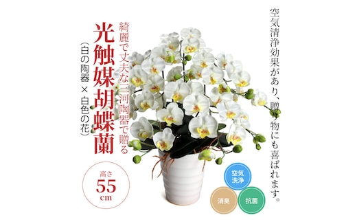 綺麗で丈夫な三河陶器で贈る光触媒胡蝶蘭小輪５本立（白の陶器×白色の花）H100-078