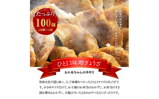 居酒屋のおかあちゃん手作り ひと口味噌ぎょうざ 100個(20個×5袋) H136-033