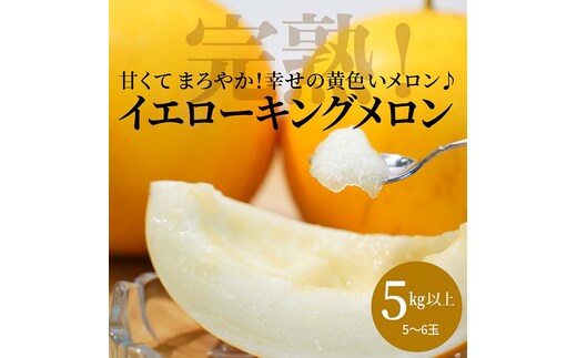 【2026年発送】完熟！イエローキングメロン 5kg以上(5玉～6玉) H141-017