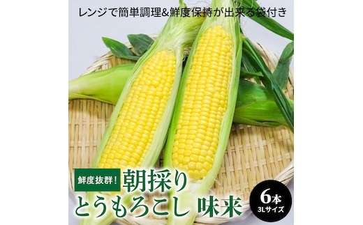 鮮度抜群！朝採り とうもろこし 味来 6本(3Lサイズ) レンジで簡単調理&鮮度保持が出来る袋付き H132-030