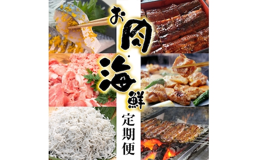 【お試し】お肉・海鮮 定期便（全6回お届け） H028-075