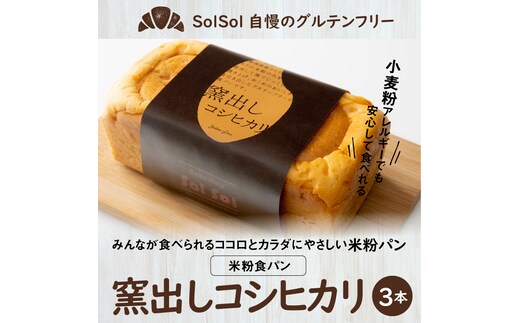 グルテンフリー 米粉食パン 窯出しコシヒカリ 3本 H083-018